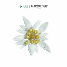 Load image into Gallery viewer, La Biosthetique Méthode Regenerante Hairloss Control Scalp Lotion