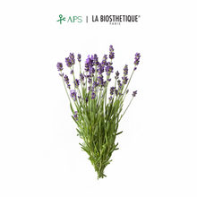 Load image into Gallery viewer, La Biosthetique Méthode Regenerante Fortifying Aroma Complex