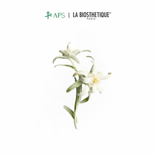 Load image into Gallery viewer, La Biosthetique Méthode Regenerante Hairloss Control Shampoo