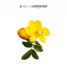 Load image into Gallery viewer, La Biosthetique Regenerante Elixir Anti-Grey