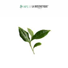 Load image into Gallery viewer, La Biosthetique Regenerante Hairloss Control Scalp Concentrate