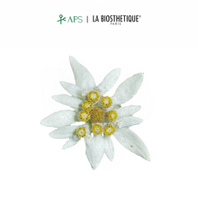 Load image into Gallery viewer, La Biosthetique Regenerante Hairloss Control Scalp Concentrate