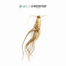 Load image into Gallery viewer, La Biosthetique Méthode Regenerante Fortifying Scalp Concentrate