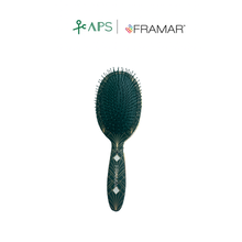 Load image into Gallery viewer, FRAMAR Detangling Brush - Emerald City
